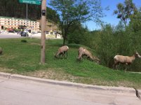IMG_0220.jpg