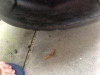 bumper.jpg