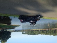 IMG_1100.jpg
