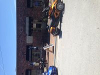 IMG_4555.jpg