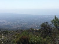 IMG_0438.jpg