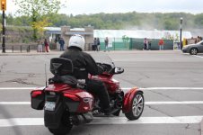 IMG_3126.jpg
