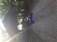 IMG_8341.jpg