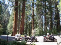 Sequoia National Park 013.jpg