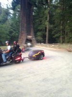 IMG_8453.jpg