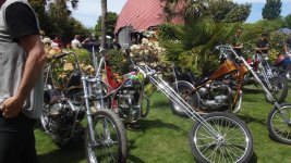 DSC02490.jpg