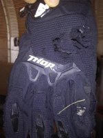 glove1.jpg