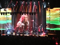 IMG_1245.jpg