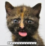 EWWWwwwwwwww.....jpg