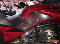 Alligator Knee Panels 44.jpg