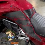 Alligator Knee Panels 111.jpg