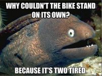 FB_IMG_1541642048365.jpg