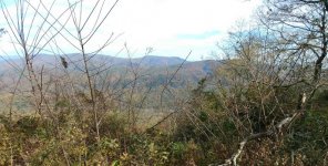 20181031_133114_Burst06.jpg