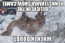 B5A7C9F9-35E9-48DA-98CD-8EA49451297A.jpg