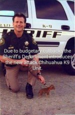 K-9 Unit.jpg