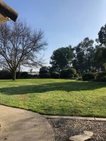 Back yard.jpg