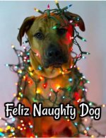 Feliz Naughty Dog.jpg