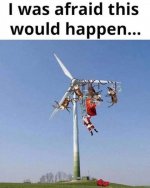 FB_IMG_1545783258327.jpg