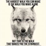 The wolf.jpg