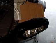 fakewing.jpg