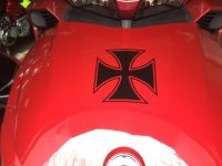 IMG_3229.jpg