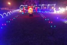 doug lights 4.jpg