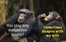A Manly Sport.jpg