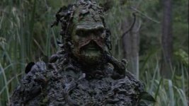 swamp2.jpg