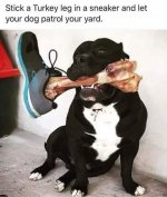 Patrol Dog.jpg