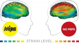Strain_Clean.jpg