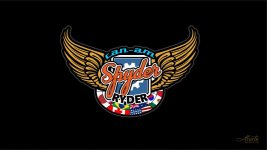 spyder_ryder_32319_flags.jpg