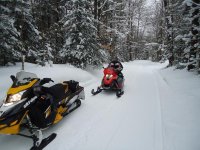 DSC00456.jpg