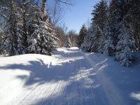 DSC00478.jpg