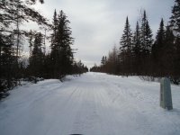 DSC00485.jpg