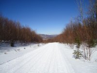 DSC00494.jpg