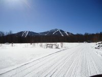 DSC00495.jpg