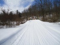 DSC00504.jpg