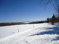 DSC00525.jpg
