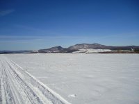 DSC00533.jpg