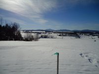 DSC00534.jpg