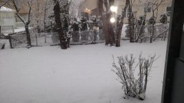 IMG_20190414_121611873small.jpg