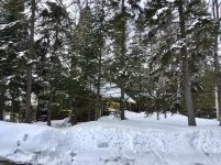Cabin spring 2019.jpg