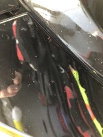 56F618AF-71ED-4C48-8F03-BF40457E6FF1.jpg