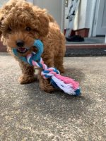 IMG-20190514-WA0006.jpg
