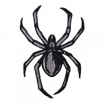 spyder decal jpg.jpg