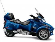 blue spyder.jpg