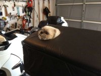 JakeMobile_0703_01.jpg