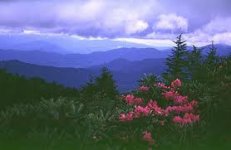 RoanMtn.jpg