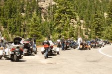 Bikes on MDH.JPG