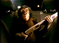 trunk-monkey-488.jpg